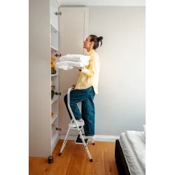 Échelle HOME en acier, 2 marches, capacité de 150 kg