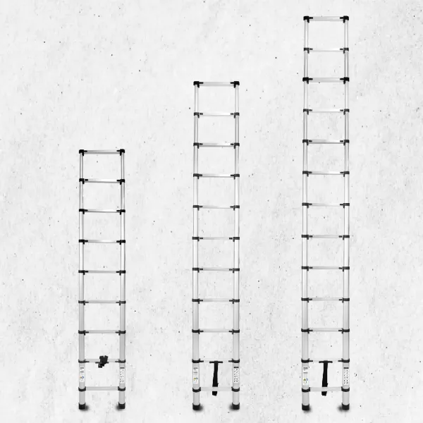 Télescopiques